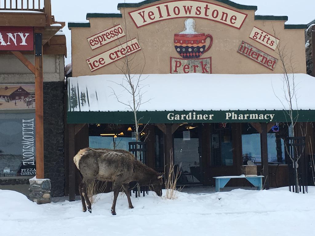 Park Hotel Yellowstone Suites Gardiner Exteriör bild